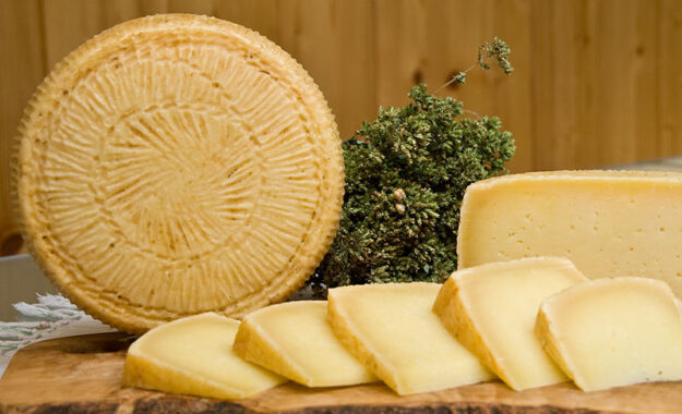 Formaggio pecordino